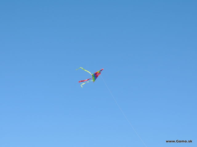 DSCN7068
