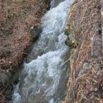 IMG_8020
