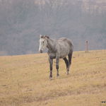 DSCN1189