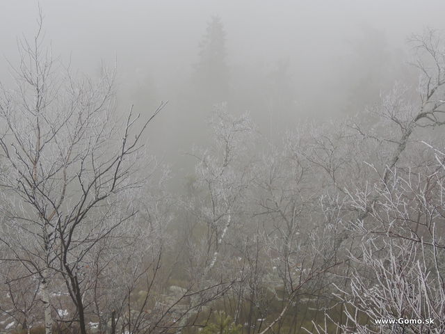 DSCN1837