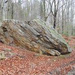 DSCN1849