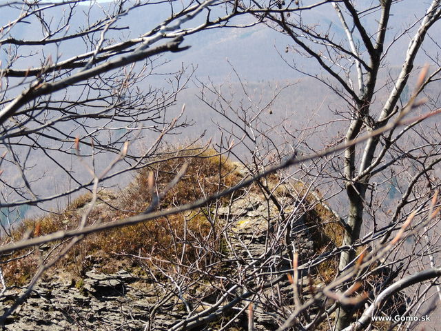 DSCN2189