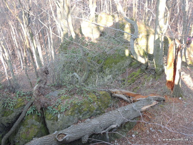 DSCN2209