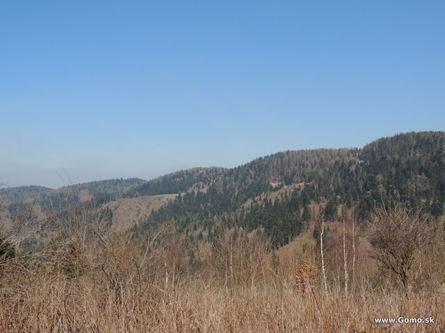 DSCN2328