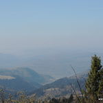 DSCN2340