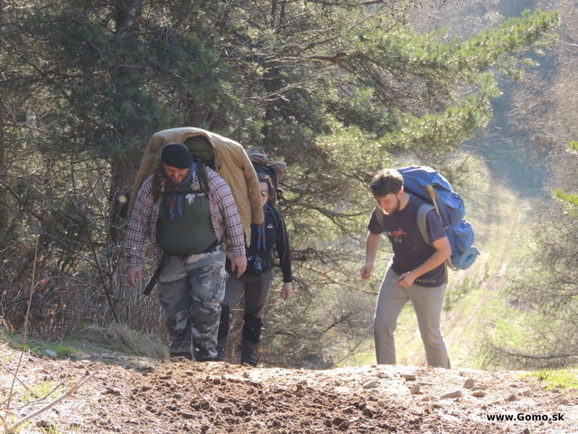DSCN2467