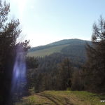 DSCN2468