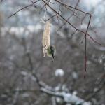 IMG_7917