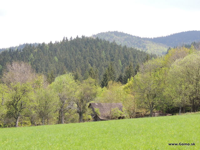 DSCN2887