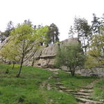 DSCN2947
