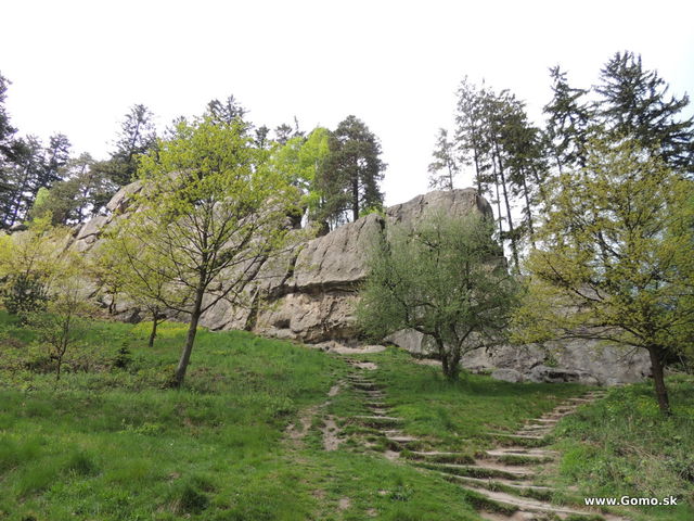 DSCN2947