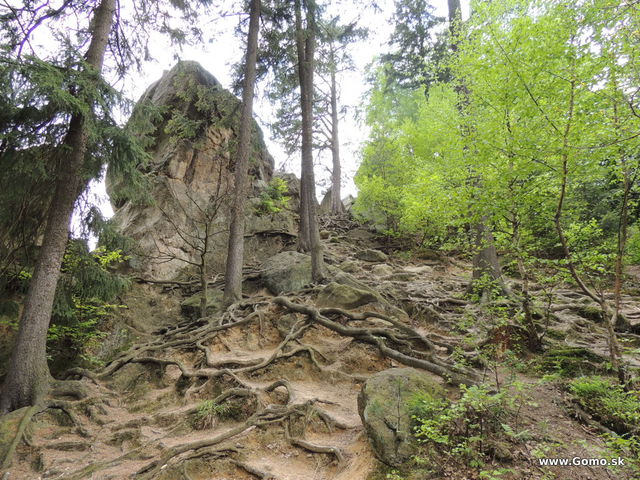 DSCN2949
