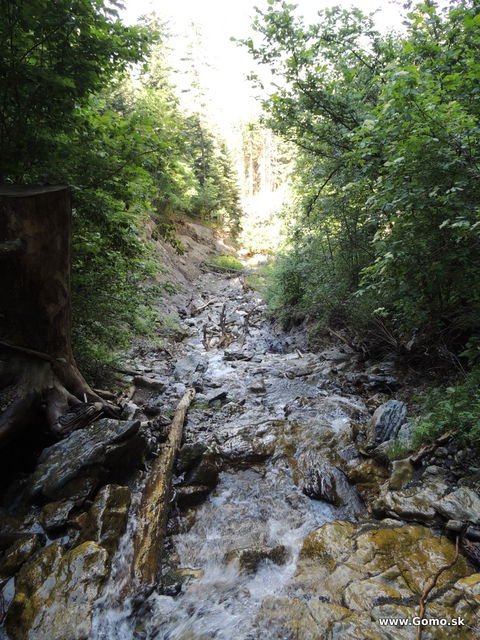 DSCN3559