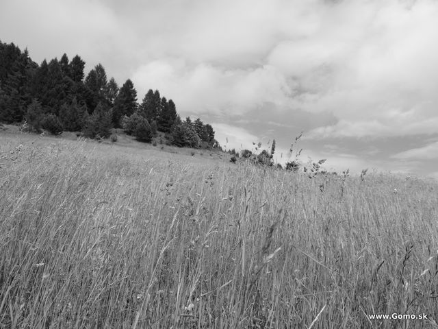 DSCN3616