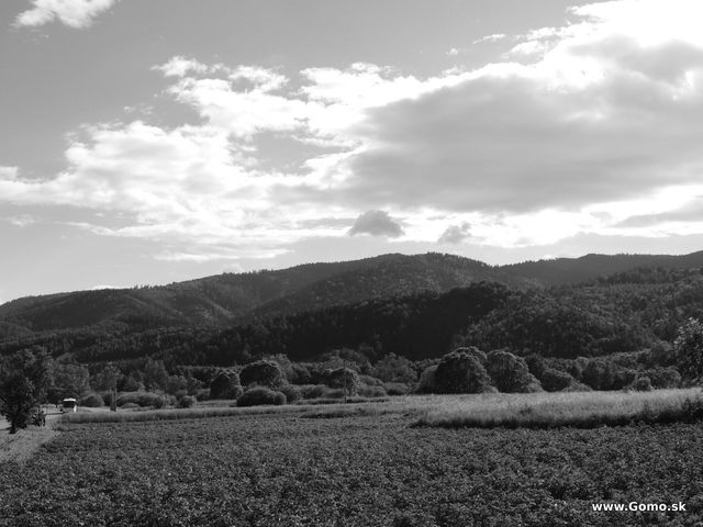 DSCN3626