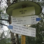 DSCN4506