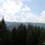 DSCN4527