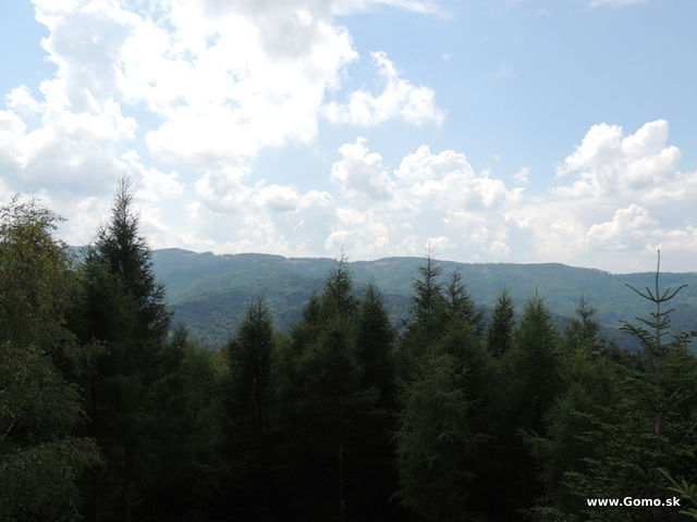DSCN4527