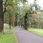 DSCN4964