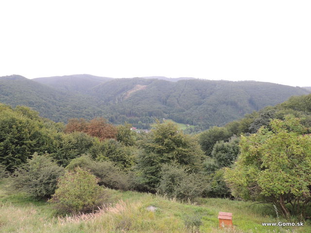 DSCN4973
