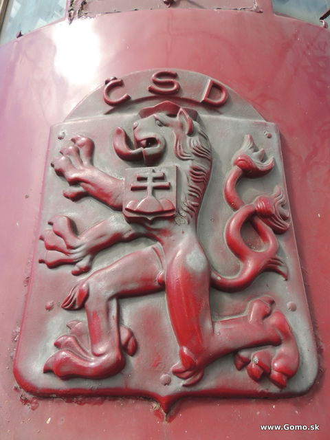DSCN5092
