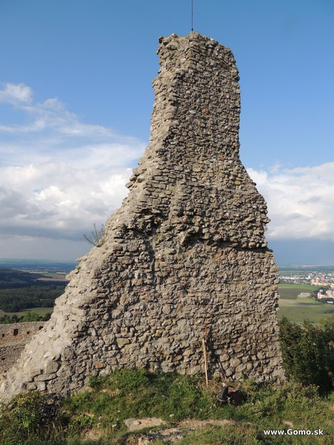 DSCN5192