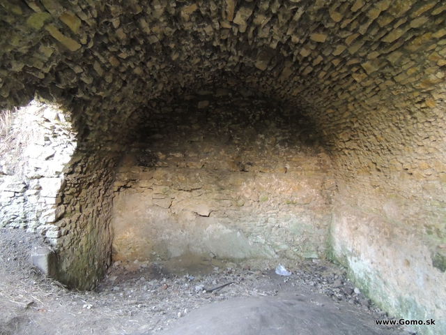 DSCN5195