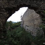 DSCN5203
