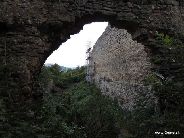 DSCN5203