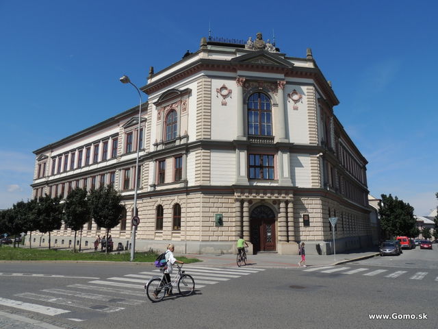 DSCN5442