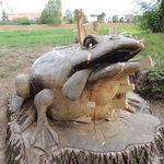 DSCN5470