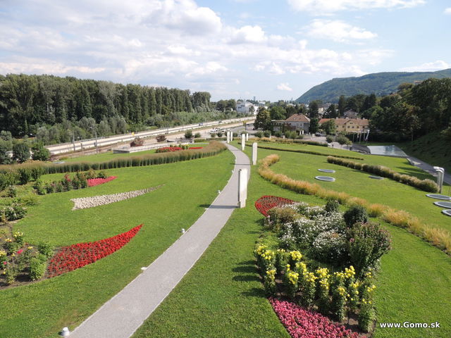 DSCN5565