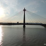 DSCN5619