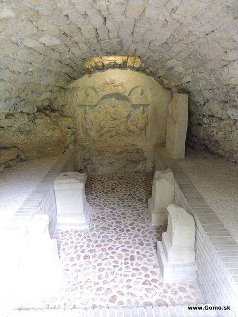 DSCN5684