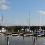 DSCN5739