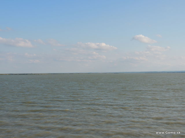 DSCN5760