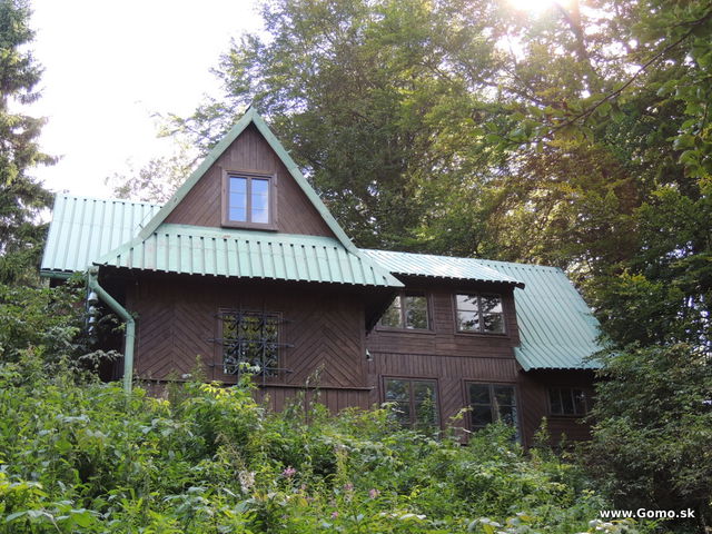 DSCN6165