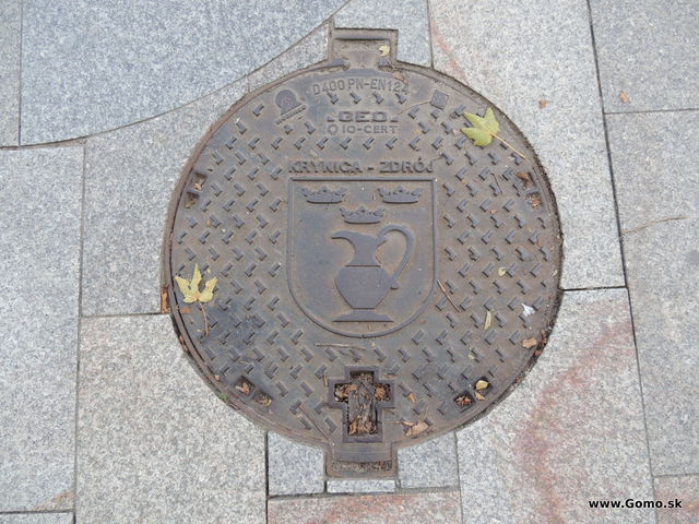 DSCN6220