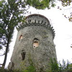 DSCN6492