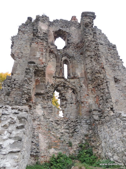 DSCN6497
