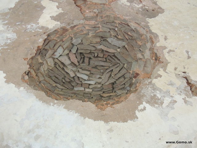 DSCN6510