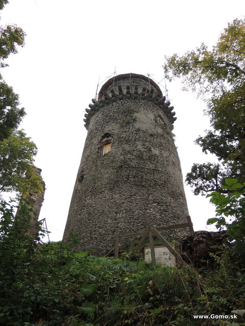 DSCN6515