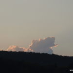 DSCN6603