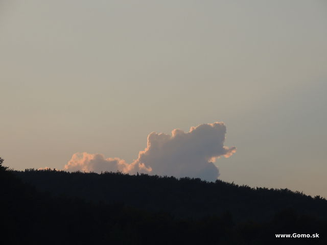 DSCN6603