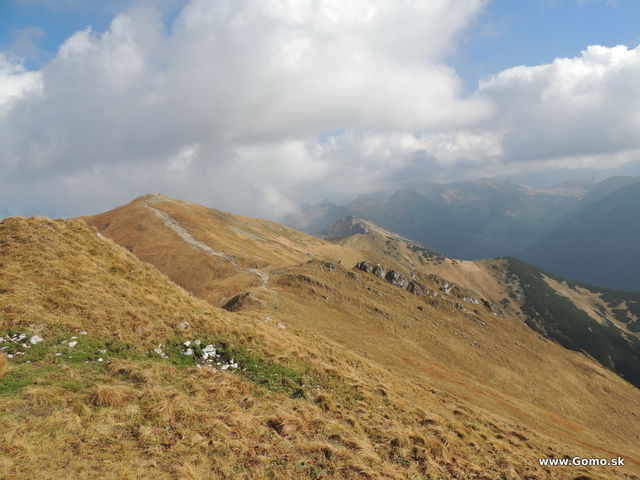 DSCN6715