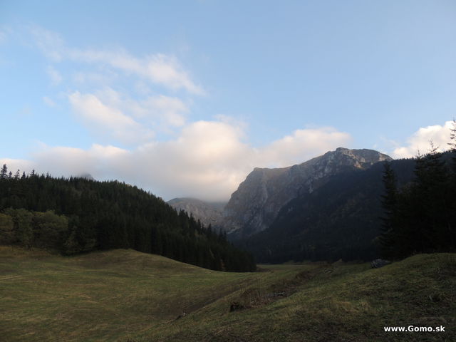 DSCN6810