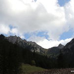 DSCN6877