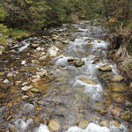 DSCN6881