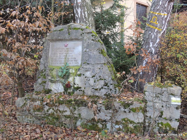 DSCN7534