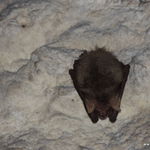 DSCN7598